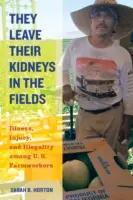 Se dejan los riñones en el campo, 40 años: enfermedades, lesiones e ilegalidad entre los trabajadores agrícolas estadounidenses - They Leave Their Kidneys in the Fields, 40: Illness, Injury, and Illegality Among U.S. Farmworkers