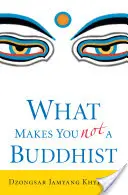 Lo que hace que no seas budista - What Makes You Not a Buddhist