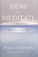 Cómo meditar: Una guía práctica para hacerte amigo de tu mente - How to Meditate: A Practical Guide to Making Friends with Your Mind