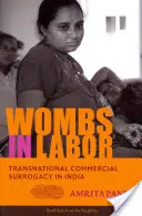 Vientres de parto: Subrogación comercial transnacional en la India - Wombs in Labor: Transnational Commercial Surrogacy in India