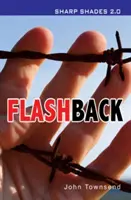 Flashback (Sharp Shades) - Flashback  (Sharp Shades)