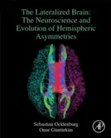 Cerebro lateralizado - Neurociencia y evolución de las asimetrías hemisféricas (Ocklenburg Sebastian (Ruhr-Universitat Bochum Bochum Alemania)) - Lateralized Brain - The Neuroscience and Evolution of Hemispheric Asymmetries (Ocklenburg Sebastian (Ruhr-Universitat Bochum Bochum Germany))