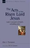 Los Hechos de Jesús Resucitado - El relato de Lucas sobre el plan de Dios - Acts of the Risen Lord Jesus - Luke'S Account Of God'S Unfolding Plan