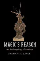 La razón de la magia: Una antropología de la analogía - Magic's Reason: An Anthropology of Analogy