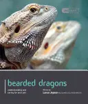 Dragón barbudo - Bearded Dragon