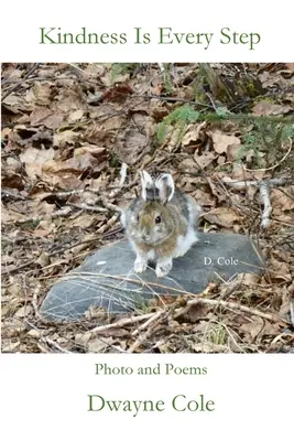 La bondad está en cada paso - Kindness Is Every Step