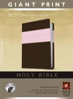 Biblia en letra gigante-NLT - Giant Print Bible-NLT