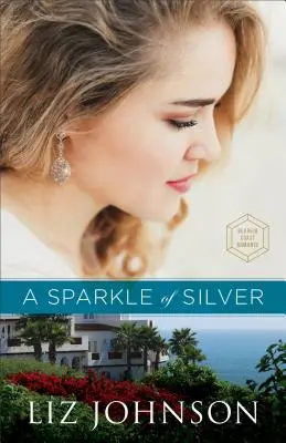 Un destello de plata - A Sparkle of Silver