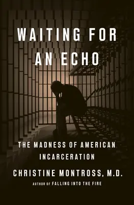 Esperando un eco: La locura del encarcelamiento en Estados Unidos - Waiting for an Echo: The Madness of American Incarceration