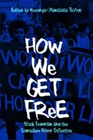 Cómo nos liberamos: el feminismo negro y el colectivo del río Combahee - How We Get Free: Black Feminism and the Combahee River Collective