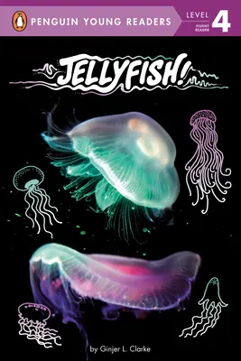 Medusas - Jellyfish!