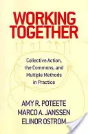 Trabajar juntos: Collective Action, the Commons, and Multiple Methods in Praccollective Action, the Commons, and Multiple Methods in Pr - Working Together: Collective Action, the Commons, and Multiple Methods in Praccollective Action, the Commons, and Multiple Methods in Pr