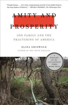 Amistad y prosperidad: Una familia y la fractura de Estados Unidos - Amity and Prosperity: One Family and the Fracturing of America