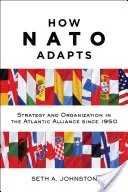 Cómo se adapta la OTAN: Estrategia y organización en la Alianza Atlántica desde 1950 - How NATO Adapts: Strategy and Organization in the Atlantic Alliance Since 1950