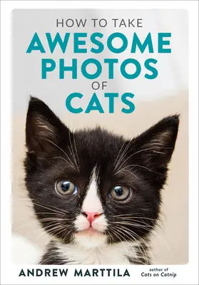 Cómo hacer fotos increíbles de gatos - How to Take Awesome Photos of Cats