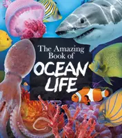 Libro asombroso de la vida oceánica - Amazing Book of Ocean Life