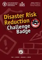 Insignia del desafío de la reducción del riesgo de catástrofes - Disaster Risk Reduction Challenge Badge