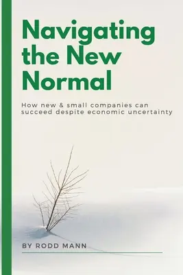 Navigating the New Normal: How New & Small Companies Can Succeed Despite Economic Uncertainty (Navegando por la nueva normalidad: cómo las empresas nuevas y pequeñas pueden tener éxito a pesar de la incertidumbre económica) - Navigating the New Normal: How New & Small Companies Can Succeed Despite Economic Uncertainty