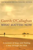 What Matters Now - A Memoir of Hope and Finding a Way Through the Dark (Lo que importa ahora - Un libro de memorias sobre la esperanza y la búsqueda de un camino en la oscuridad) - What Matters Now - A Memoir of Hope and Finding a Way Through the Dark