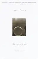 Plainwater: Ensayos y Poesía - Plainwater: Essays and Poetry