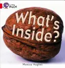 ¿Qué hay dentro? - What's Inside?