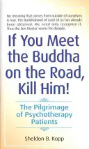 Si te encuentras a Buda en el camino, mátalo: El peregrinaje de los pacientes de psicoterapia - If You Meet the Buddha on the Road, Kill Him: The Pilgrimage of Psychotherapy Patients