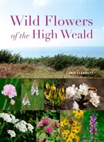 Flores silvestres del Alto Weald - Wild Flowers of the High Weald