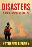 Catástrofes: Un enfoque sociológico - Disasters: A Sociological Approach