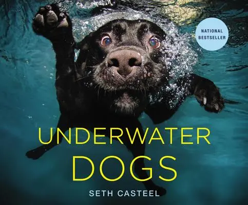 Perros bajo el agua - Underwater Dogs