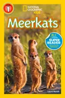 Suricatas - Meerkats