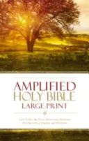 Biblia Amplificada-Am-Large Print: Capta todo el significado del griego y el hebreo originales. - Amplified Bible-Am-Large Print: Captures the Full Meaning Behind the Original Greek and Hebrew