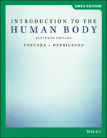 Introducción al cuerpo humano - Introduction to the Human Body