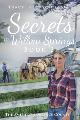 Secretos de Willow Springs - Libro 2: Los Amish del Condado de Lawrence - Secrets of Willow Springs - Book 2: The Amish of Lawrence County