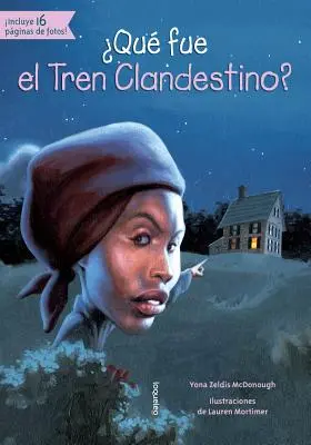 ¿Qué Fue El Tren Clandestino? - Que Fue El Tren Clandestino?