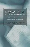 Acompañamiento en momentos de pérdida perinatal: Guía para enfermeras, médicos, trabajadores sociales, capellanes y otros cuidadores de cabecera - Companioning at a Time of Perinatal Loss: A Guide for Nurses, Physicians, Social Workers, Chaplains and Other Bedside Caregivers