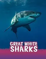 Grandes tiburones blancos - Great White Sharks