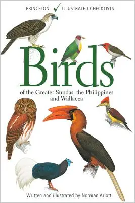 Aves del Gran Sundas, Filipinas y Wallacea - Birds of the Greater Sundas, the Philippines, and Wallacea