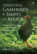 Aves de caza terrestres y snipes de África: Guineafowls, Francolins, Spurfowls, Codornices, Sandgrouse & Snipes - Terrestrial Gamebirds & Snipes of Africa: Guineafowls, Francolins, Spurfowls, Quails, Sandgrouse & Snipes