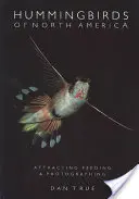 Colibríes de Norteamérica: Atraer, alimentar y fotografiar - Hummingbirds of North America: Attracting, Feeding, and Photographing