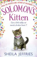 El gatito de Salomón - Solomon's Kitten