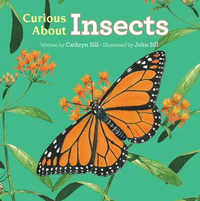 Curiosidad por los Insectos - Curious about Insects