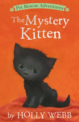 El gatito misterioso - The Mystery Kitten