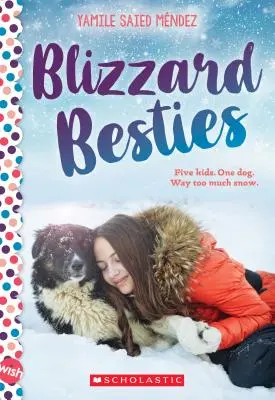 Blizzard Besties: Una novela de deseos - Blizzard Besties: A Wish Novel