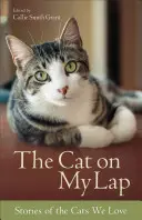 El gato en mi regazo: Historias de gatos que amamos - The Cat on My Lap: Stories of the Cats We Love