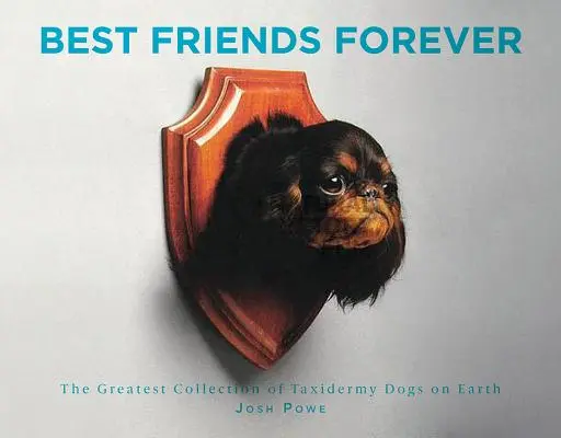 Mejores amigos para siempre: La mayor colección de perros taxidermizados del mundo - Best Friends Forever: The Greatest Collection of Taxidermy Dogs on Earth