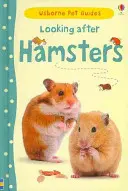Cuidar de los hámsters - Looking after Hamsters