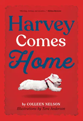 Harvey vuelve a casa - Harvey Comes Home