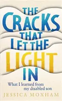 Grietas que dejan entrar la luz - Lo que aprendí de mi hijo discapacitado - Cracks that Let the Light In - What I learned from my disabled son