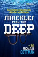 Grilletes de las profundidades: siguiendo el rastro de un barco negrero hundido, un pasado amargo y un rico legado - Shackles from the Deep: Tracing the Path of a Sunken Slave Ship, a Bitter Past, and a Rich Legacy