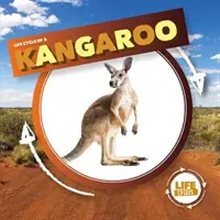 Canguro - Kangaroo